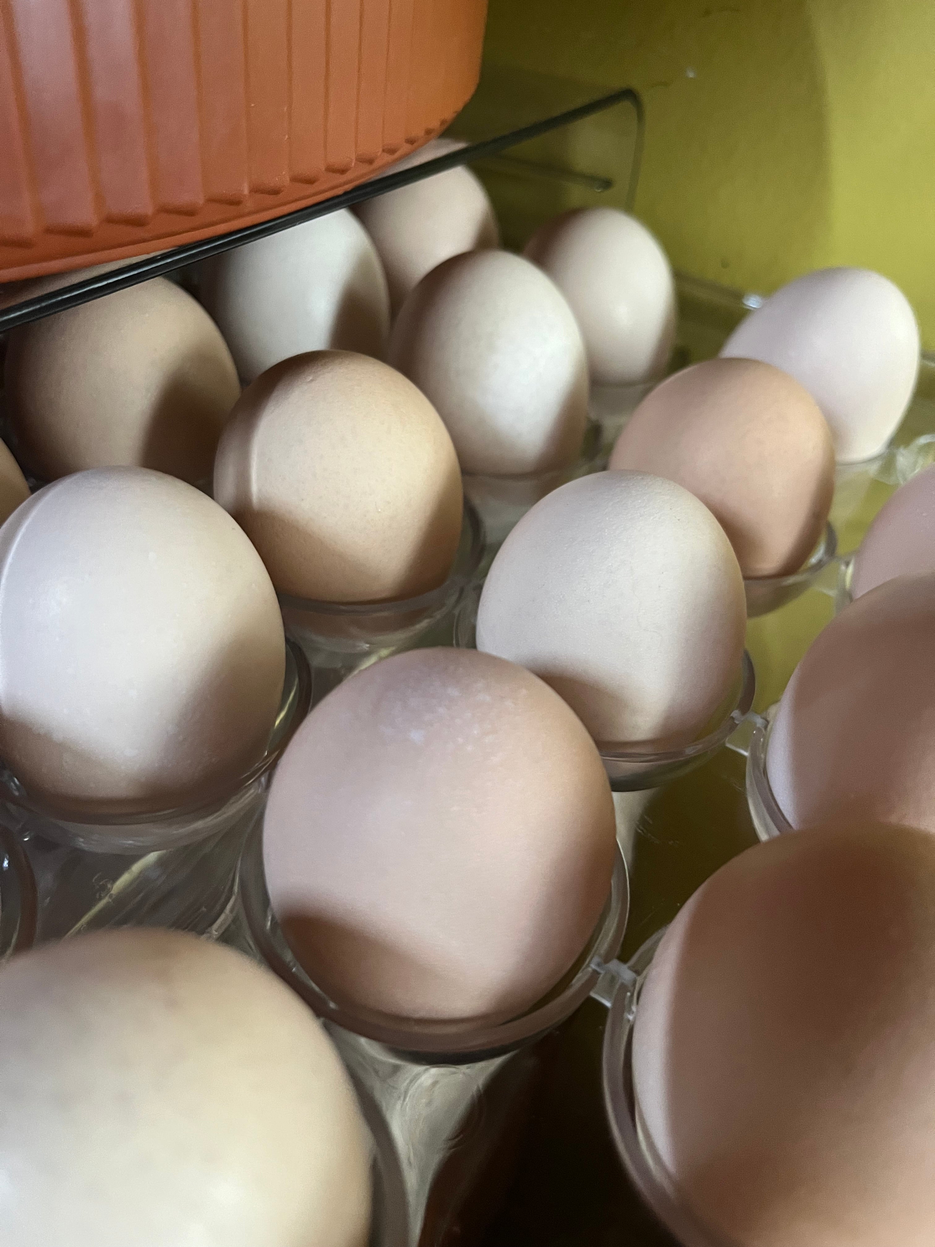 Swedish Flower Chicken Eggs!